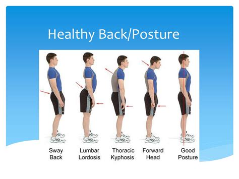 PPT - Healthy Back/Posture PowerPoint Presentation, free download - ID ...