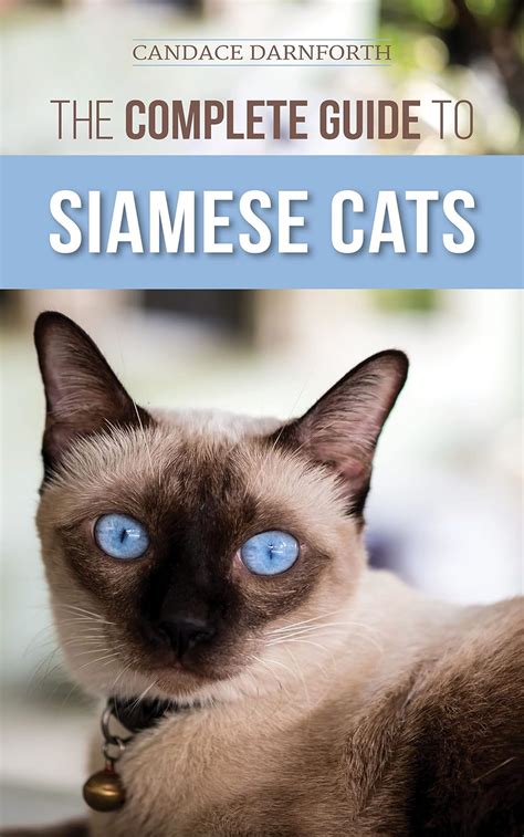 The Complete Guide To Siamese Cats Selecting Raising Training