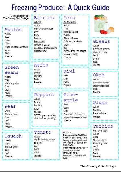 Freezing Produce Quick Guide ~ * THE COUNTRY CHIC COTTAGE (DIY, Home Decor, Crafts, Farmhouse ...