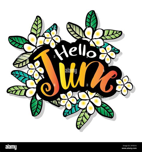 Hello June Hand Lettering With Floral Ornament Greeting Card Stock