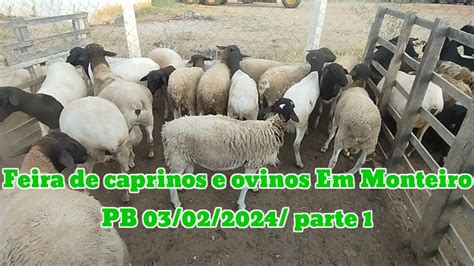 Feira De Caprinos E Ovinos Em Monteiro Pb Parte Youtube