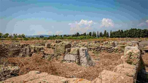 Sicilia Portati Alla Luce Nuovi Ritrovamenti Archeologici Nel Parco Di