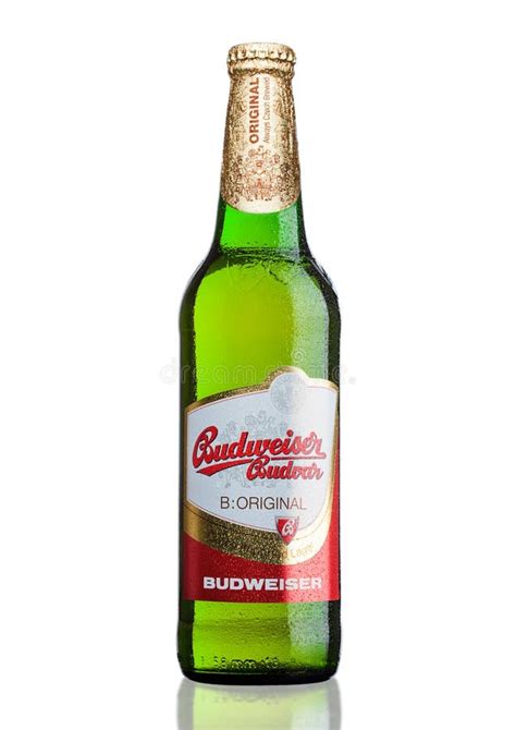 Londonuk March 30 2017 Bottle Of Budweiser Budvar Beer On White