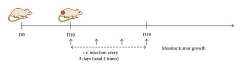 Antitumor Effect Of Irgd Cmlvs And Cmlvs In The 4t1 Breast Tumor Model