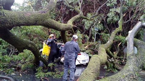 Temporal Derruba árvores E Provoca Estragos Em Belo Horizonte Na Manhã