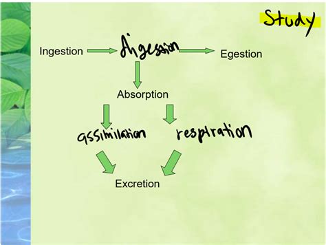 Biology Unit 1 Diagram Quizlet