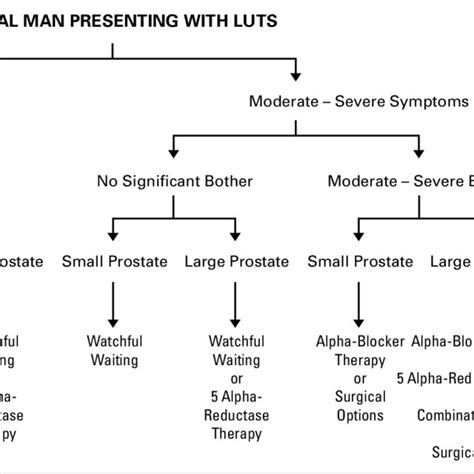 Therapeutic Algorithm Luts Lower Urinary Tract Symptoms Download