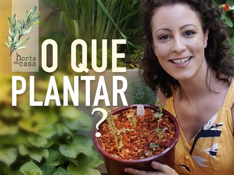 Samambaias Como Cuidar Regar E Reproduzir Minhas Plantas Horta Plantas Trepadeiras