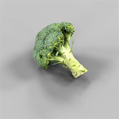 3d Model Broccoli Piece Of Vr Ar Low Poly Cgtrader