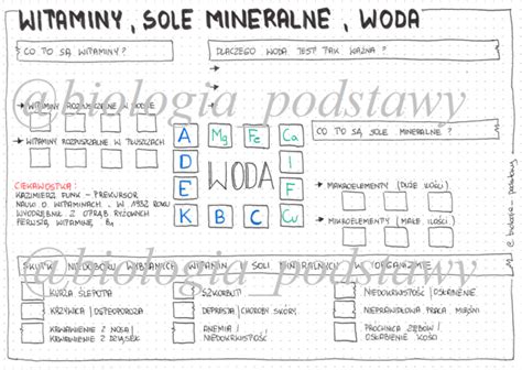 Klasa 7 Witaminy sole mineralne woda sketchnotka Złoty nauczyciel