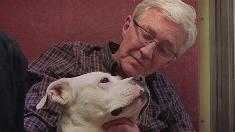 Paul Ogrady For The Love Of Dogs Säsong 3 Avsnitt 11 Tv Serier