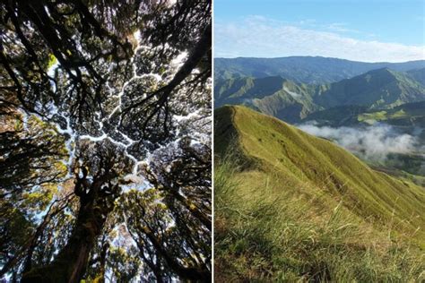 Top 15 Awesome Tourist Spots in Bukidnon - Wander Era