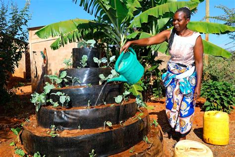 How Climate Smart Farming Has Revolutionised Women S Lives In Three