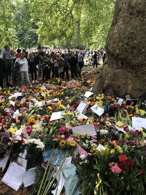 Anissa Boumediene on Twitter Après les milliers de bouquets de fleurs