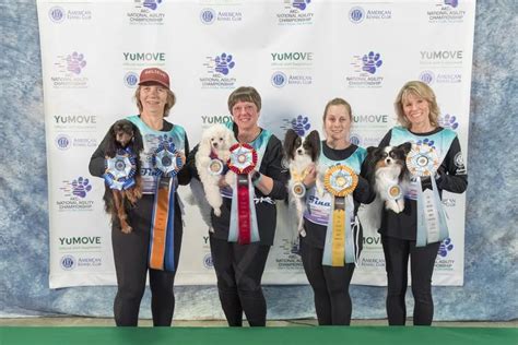 Meet The AKC National Agility Championship Winners For 2023