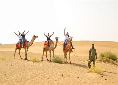 Discovering the Beauty of the Desert: A Camel Safari in Jaisalmer | by The Captain Desert Camp ...