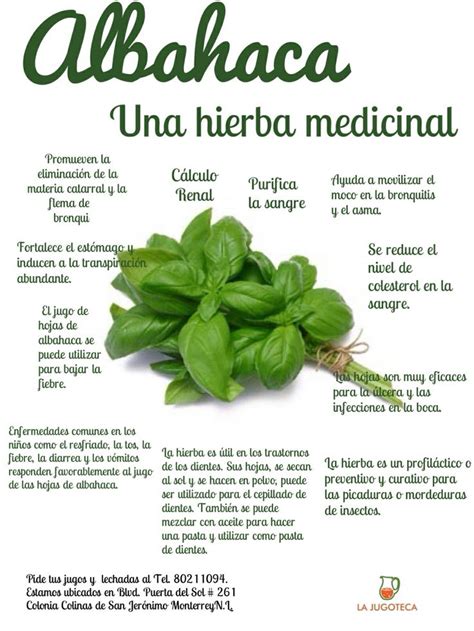 Una Hora Que No Puede Faltar En Nuestros Jugos Medical Herbs Natural