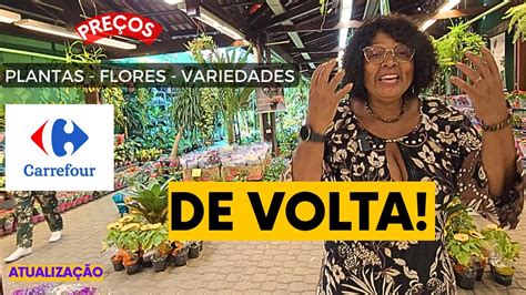 DE VOLTA CARREFOUR PLANTAS PREÇOS ATUALIZAÇÃO E VARIEDADES YouTube