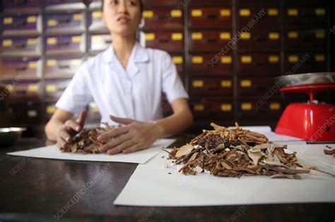 Traditional Chinese Medicine Pharmacy Stock Image C0388951