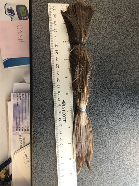 9 10 Inches Of 100 Virgin Dark Blonde Brown Hair HairSellOff