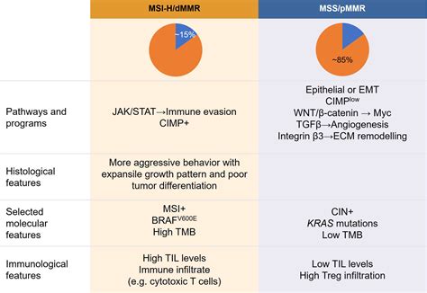 Frontiers Clinicopathological Characteristics Of High Microsatellite