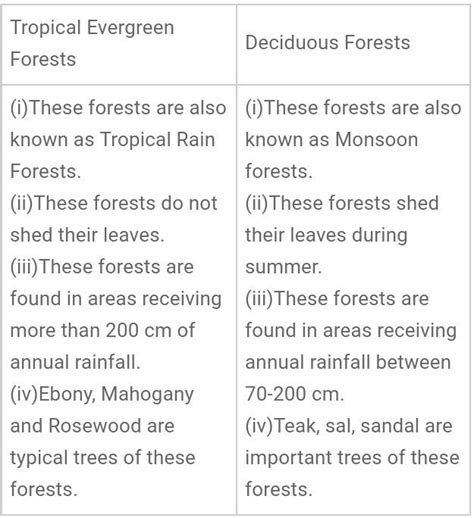 Write Essay Answer On Difference Between Evergreen And Deciduous Forest