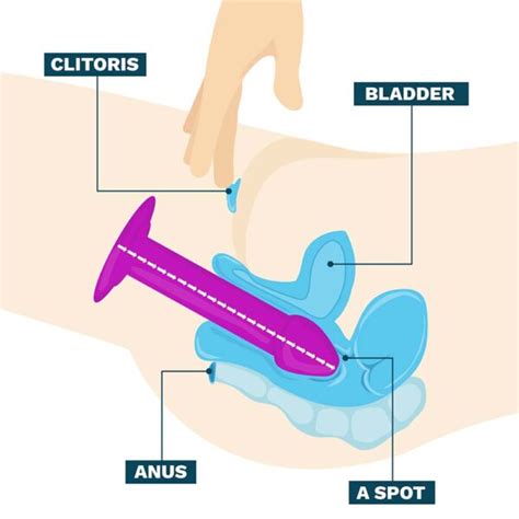 How To Have An Anal Orgasm PRO TIPS From A Sexologist My Sex Toy Guide
