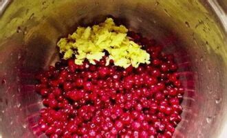 Брусничный соус к мясу – 7 рецептов приготовления с пошаговыми фото