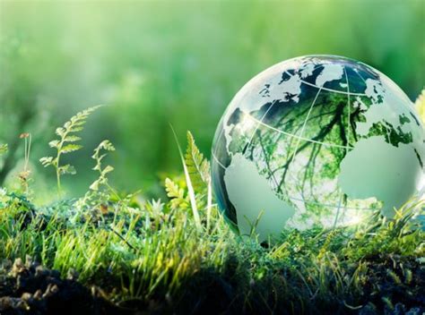 Using Esg Ratings To Build A Sustainability Investing Strategy The