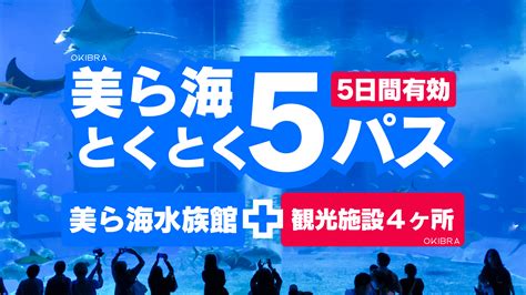 子連れ沖縄旅行コスパ最強！美ら海水族館＋人気観光施設4つセットが安い【美ら海とくとく5パス】 沖縄旅行はおきぶら