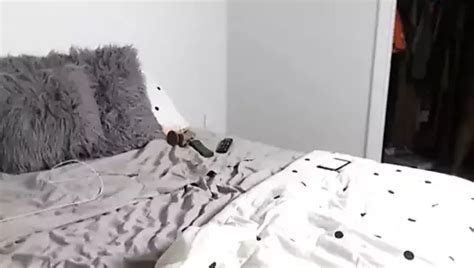 Free Beautiful Black Women Porn Videos 3 XHamster