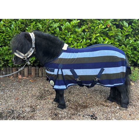 Shetland Miniature Donkey Section A Fleece Shetlandminiature From