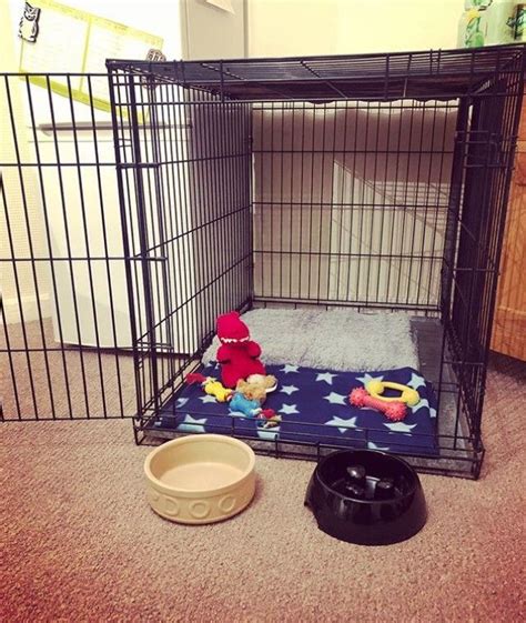 50 Best Dog Crate Ideas For Your Inspiration Dog Crate Dog Crate