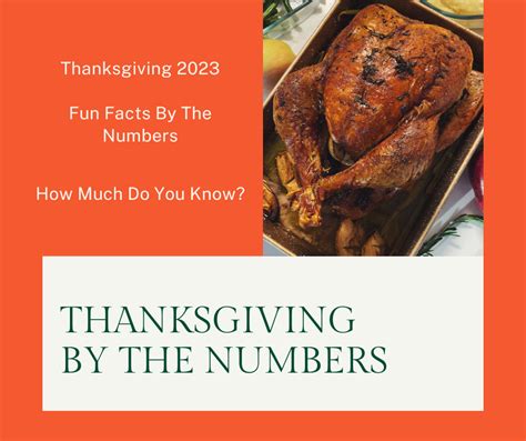 Thanksgiving 2023 By The Numbers Nina Hollander Charlotte Real