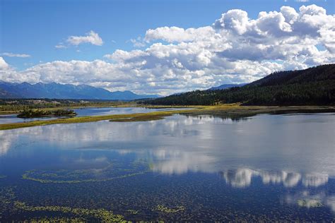 Columbia River Wetlands Living Lakes Network