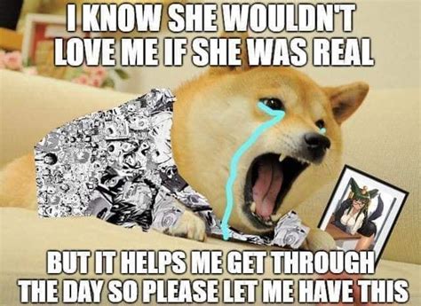 Lonely doge : r/195