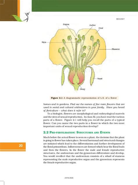 Rbse Book Class 12 Biology Chapter 2 Sexual Reproduction In Flowering Plants Hindi English