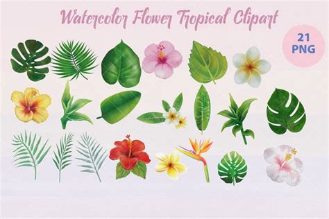 Watercolor Flower Tropical Clipart