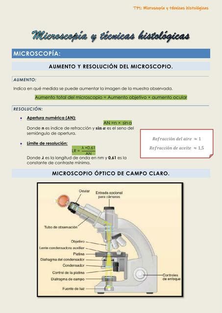 Microscopia Y T Cnicas Histol Gicas Udocz