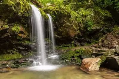 Fascinating Features About Salamanders In The Great Smoky Mountains