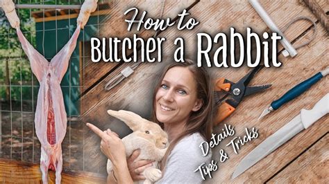 How To Butcher A Rabbit Details Tips Tricks Creme D Argent Meat