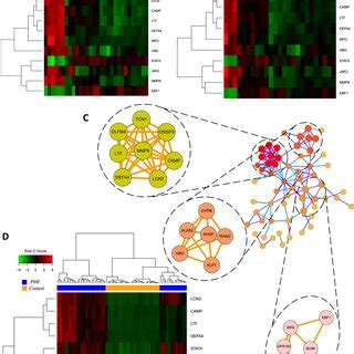 A Hub Genes Expression Heatmap Of Gse B Hub Genes Expression