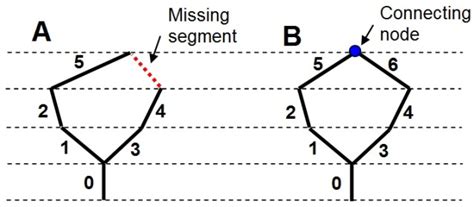 Hierarchical Connections Of The Consecutive Network Segments Shown In