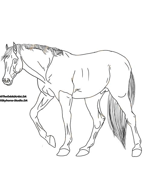 Horse Lineart By Theodddartist On Deviantart