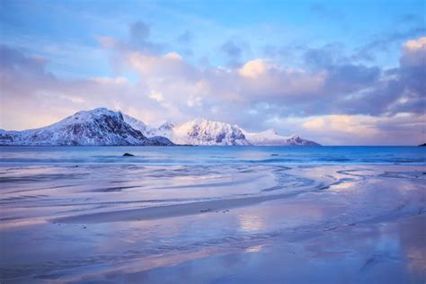 Lofoten Beach Stock Photos Royalty Free Lofoten Beach Images