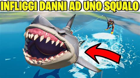 Infliggi Danni Ad Uno Squalo Bottino Missioni Settimana Fortnite