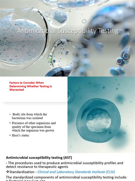 Antimicrobial Susceptibility Testing | PDF | Medical Specialties ...