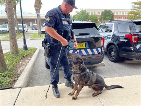 10 Popular Dog Breeds Used In Police K9 Work Tactical Police K9 ...