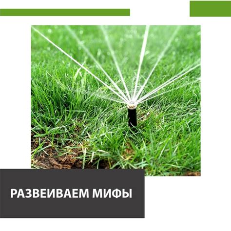Автополив и освещение | Evogreen | ВКонтакте