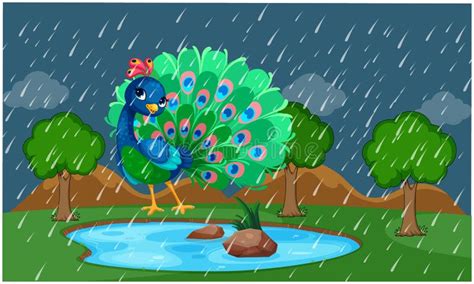 Dancing Peacock Cartoon Images